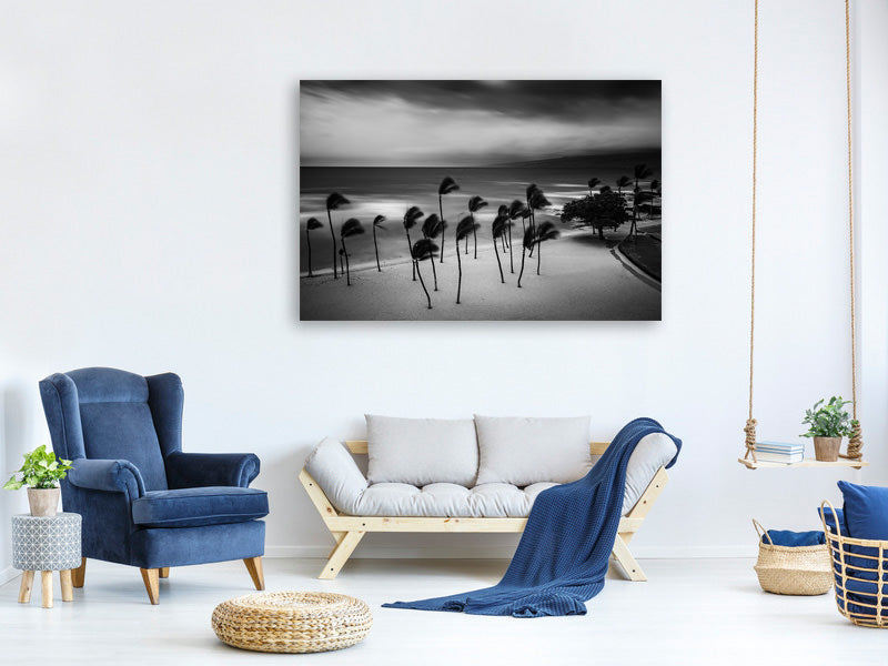 canvas-print-tropical-storm