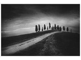 canvas-print-untitled-xhy