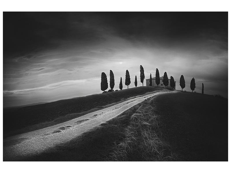 canvas-print-untitled-xhy