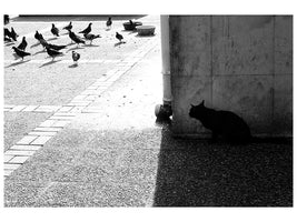 canvas-print-untitled-xxfxfa