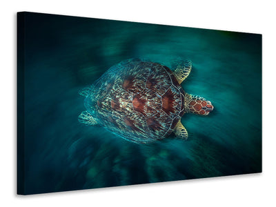 canvas-print-valocity-turtle