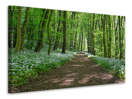 canvas-print-we-love-the-summer-in-the-woods