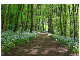 canvas-print-we-love-the-summer-in-the-woods