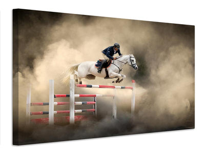 canvas-print-white-horse-x