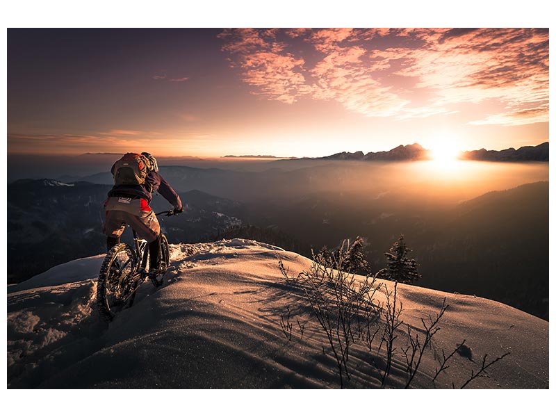 canvas-print-winter-shredding-x