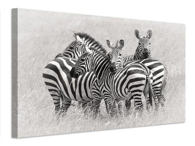 canvas-print-zebras-x