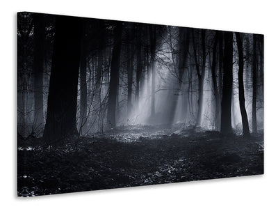 modern-3-piece-canvas-print-capela-forest