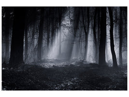 4-piece-canvas-print-capela-forest
