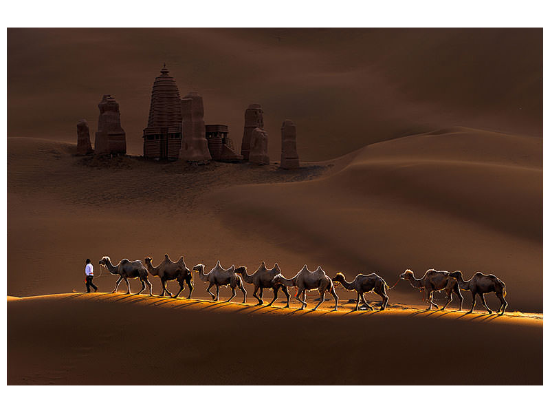 modern-3-piece-canvas-print-castle-and-camels