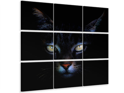 canvas-print-cat