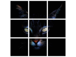 4-piece-canvas-print-cat