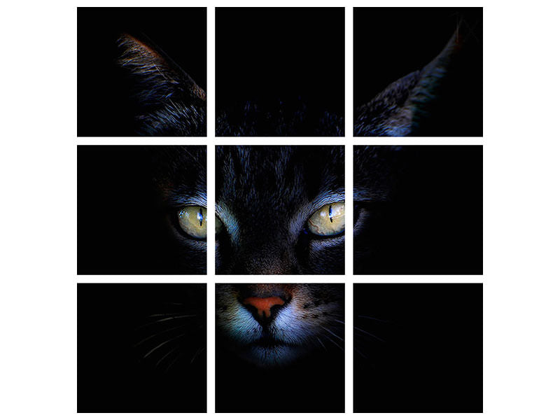 4-piece-canvas-print-cat