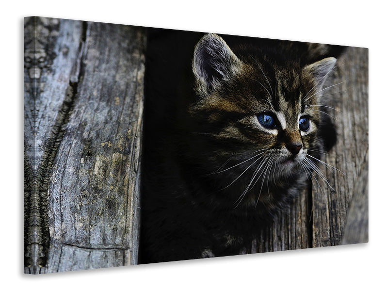 panoramic-3-piece-canvas-print-cats-child