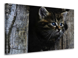 panoramic-canvas-print-cats-child