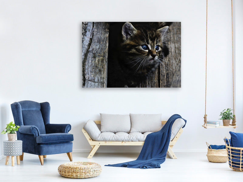 panoramic-3-piece-canvas-print-cats-child