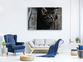 3-piece-canvas-print-cats-child