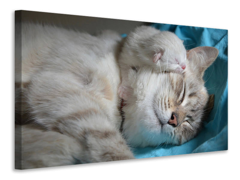 3-piece-canvas-print-cats-mom-with-baby