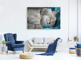 3-piece-canvas-print-cats-mom-with-baby