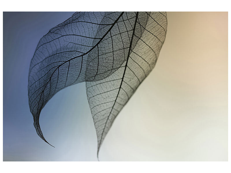 modern-3-piece-canvas-print-cavatina