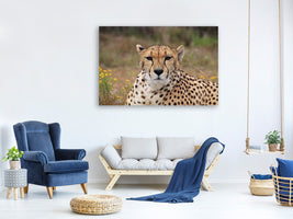 3-piece-canvas-print-cheetah-xl