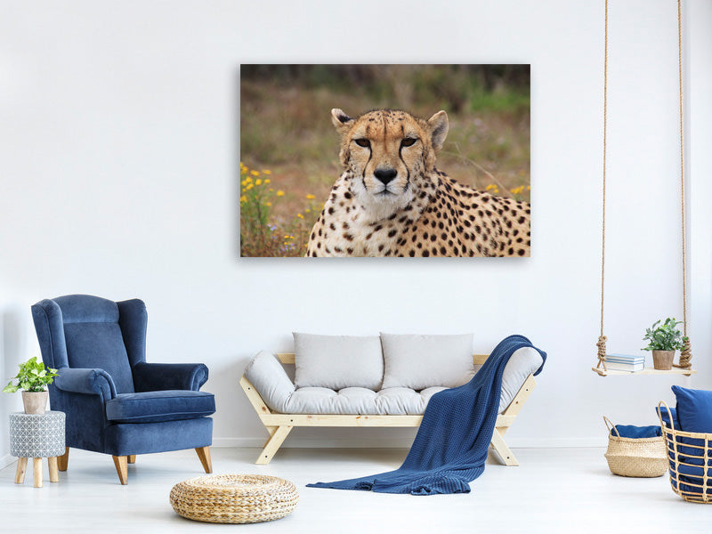 3-piece-canvas-print-cheetah-xl