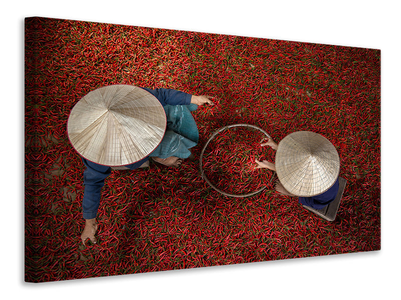 modern-4-piece-canvas-print-chilli