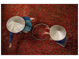 modern-3-piece-canvas-print-chilli