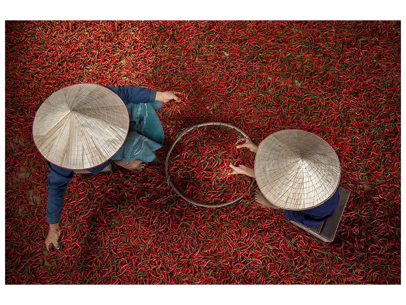 modern-4-piece-canvas-print-chilli