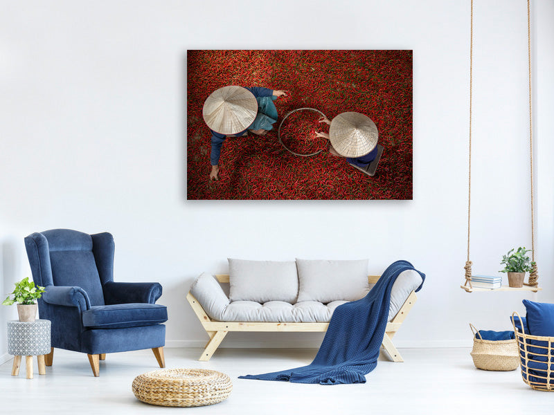 modern-4-piece-canvas-print-chilli