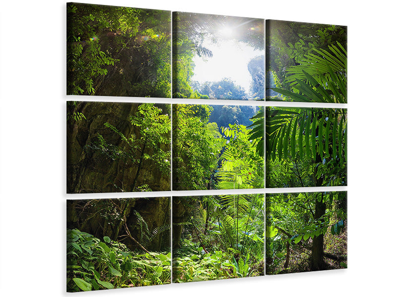 canvas-print-clearing-in-the-jungle