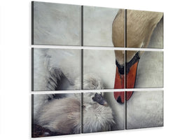 4-piece-canvas-print-close-to-you