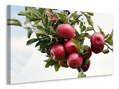 3-piece-canvas-print-close-up-apple-tree