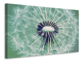 modern-4-piece-canvas-print-close-up-dandelion