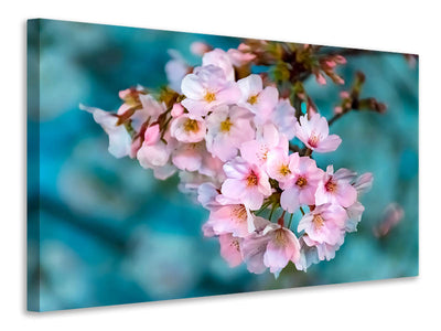 4-piece-canvas-print-close-up-flower