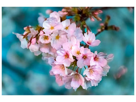 modern-4-piece-canvas-print-close-up-flower