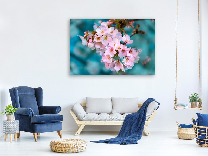 modern-3-piece-canvas-print-close-up-flower