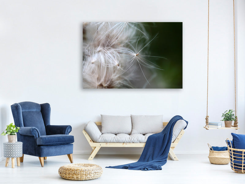 panoramic-3-piece-canvas-print-close-up-flowers-fibers