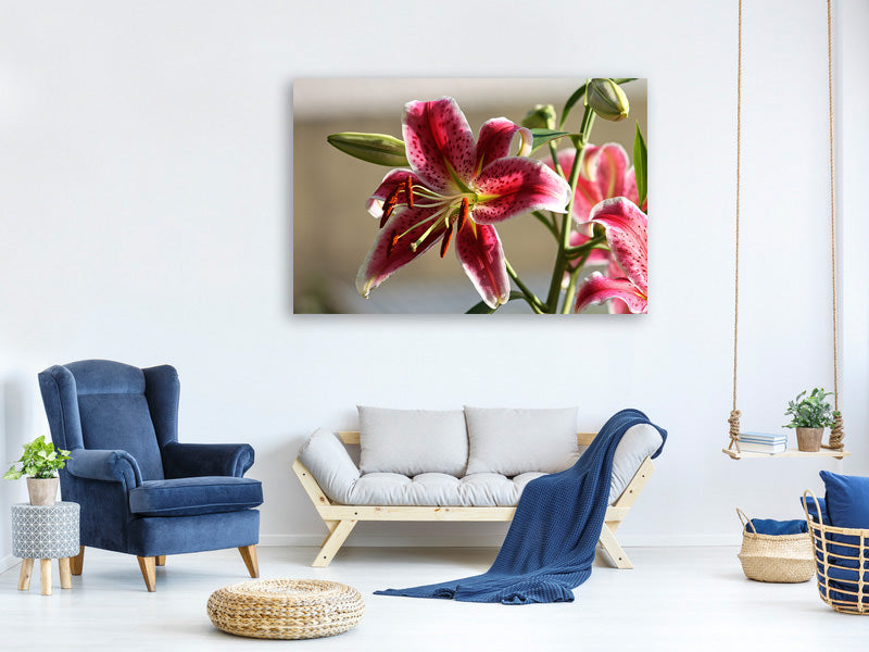 3-piece-canvas-print-close-up-lily-in-red