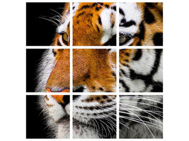 canvas-print-close-up-tiger-head