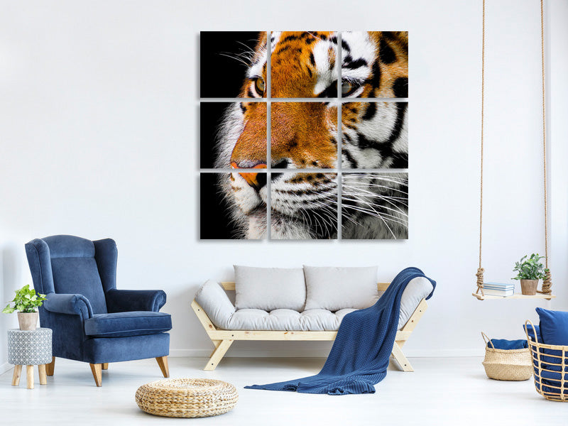 canvas-print-close-up-tiger-head