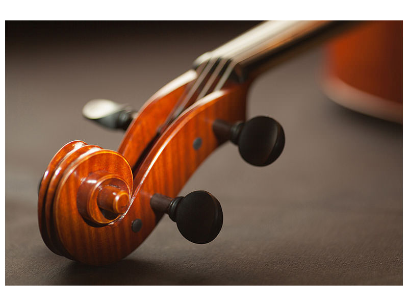 3-piece-canvas-print-close-up-violin