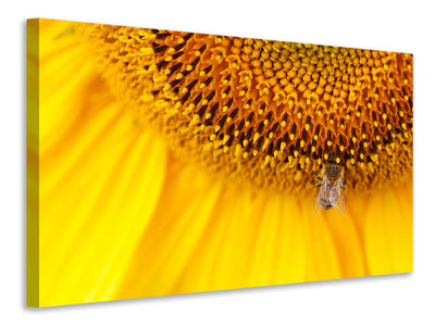 modern-3-piece-canvas-print-close-up-yellow-bud