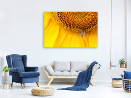 panoramic-canvas-print-close-up-yellow-bud