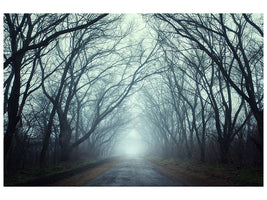 panoramic-3-piece-canvas-print-cloud-forest