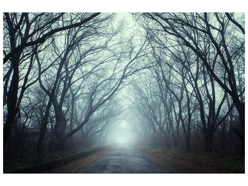 panoramic-3-piece-canvas-print-cloud-forest