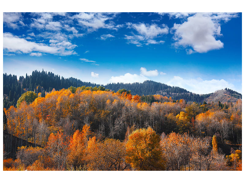 4-piece-canvas-print-clouds-gather