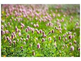 modern-4-piece-canvas-print-clover
