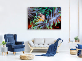 modern-3-piece-canvas-print-clownfish