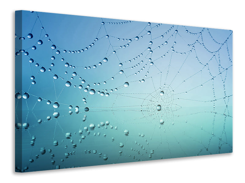 5-piece-canvas-print-cobweb-in-morning-dew