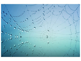 3-piece-canvas-print-cobweb-in-morning-dew